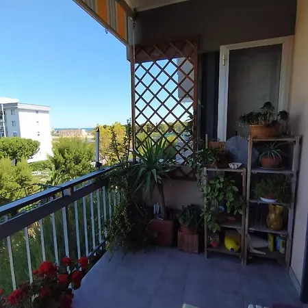 Paky's House Отель типа 